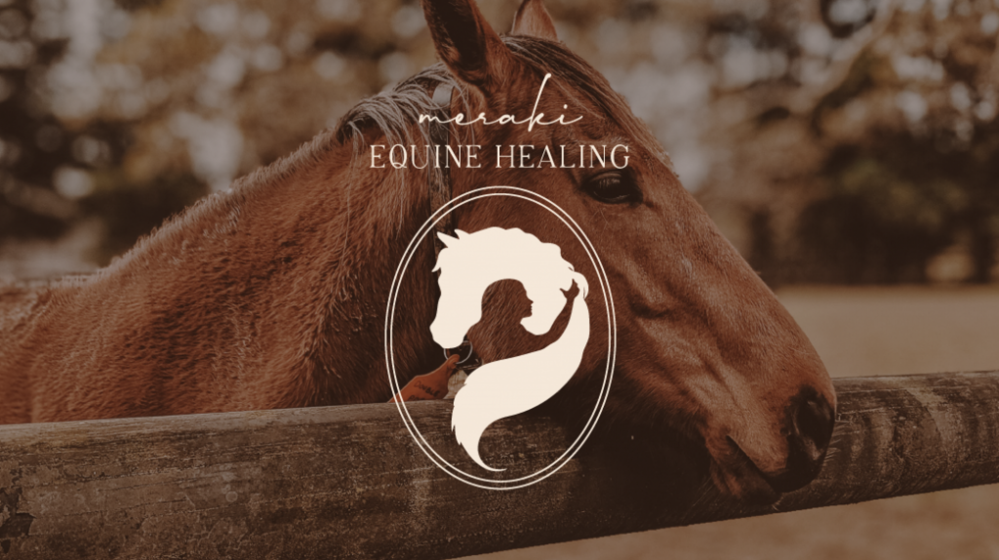 Meraki Equine Healing